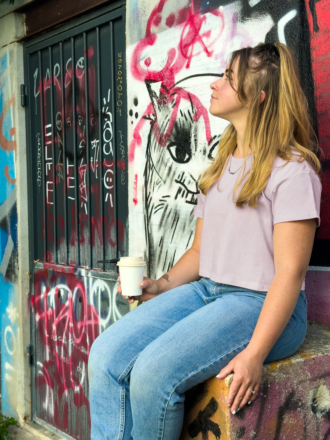 And On The Third Day, He Landed It | Relaxed Crop Top
